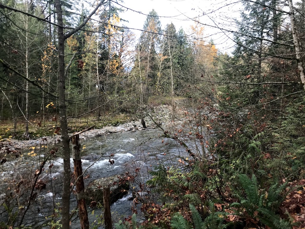 Crystal Falls - Trailhead | 3240 Karley Crescent, Coquitlam, BC V3E 3E9, Canada