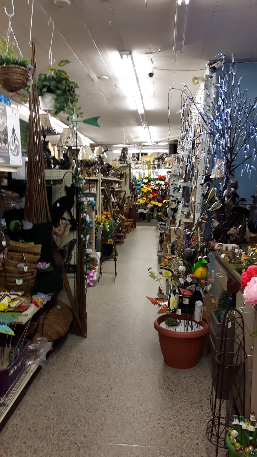 Big Dollar | 439 Main St, Selkirk, MB R1A 1V4, Canada | Phone: (204) 785-1591