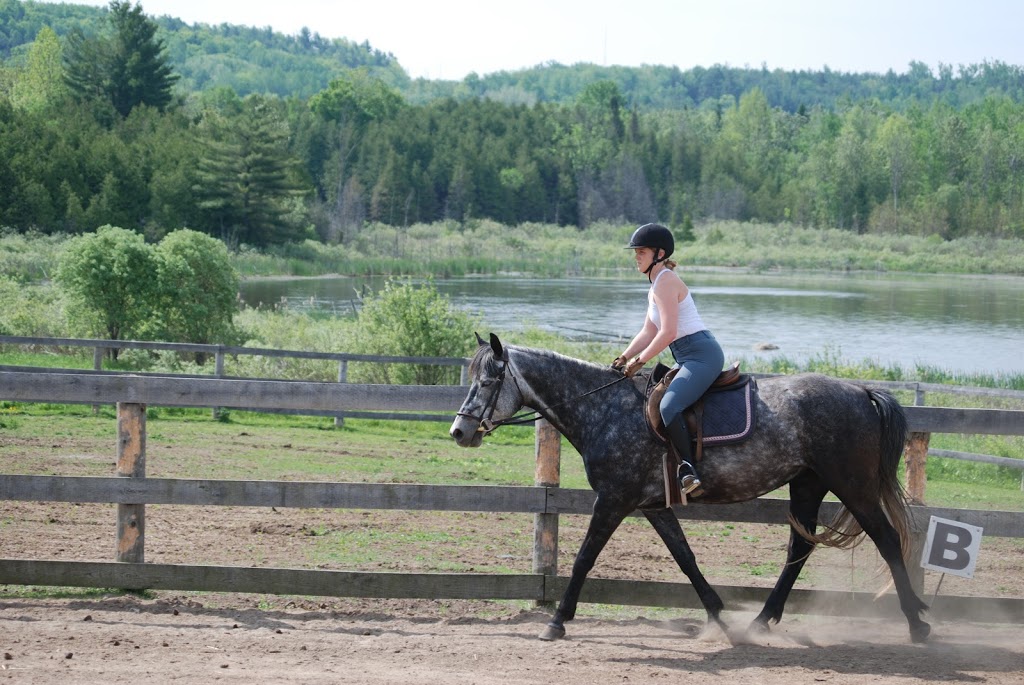 The Hollows Camp | 3155 Line 13, Bradford, ON L3Z 3P7, Canada | Phone: (905) 775-2694