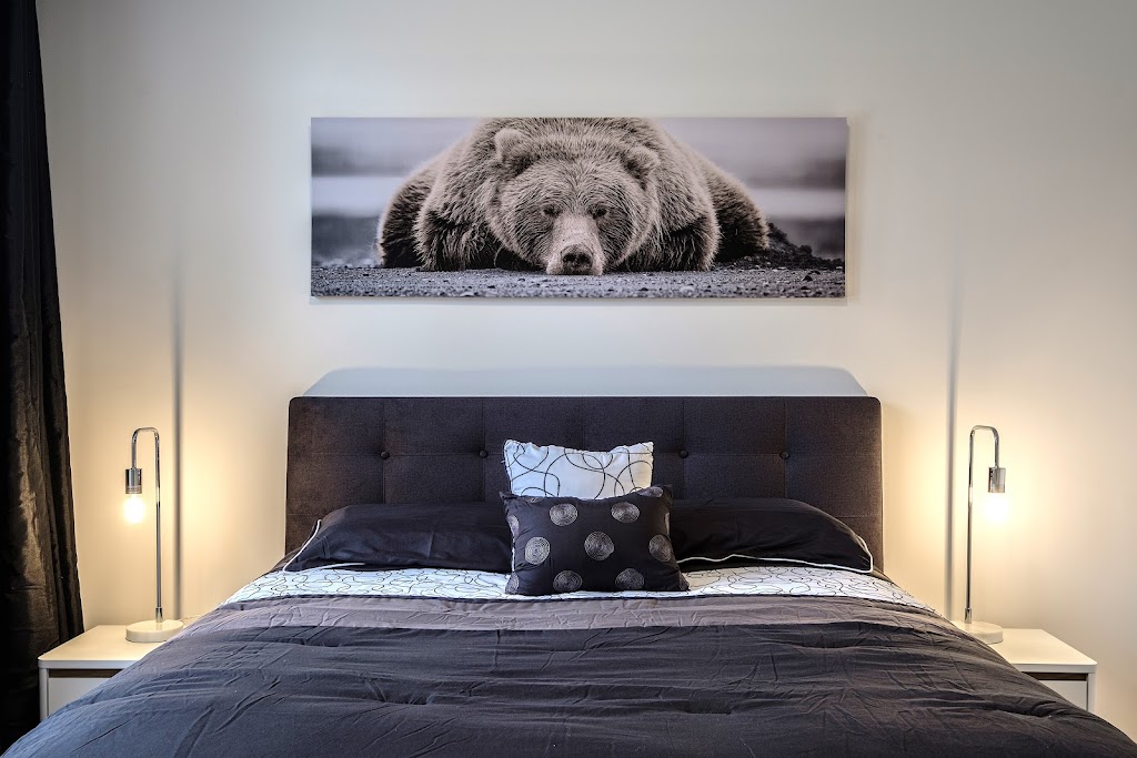 Comfy Buddy-Les-Eaux | 211 Chem. des Quatre-Sommets, Mont-Tremblant, QC J8E 1C6, Canada | Phone: (514) 910-4594