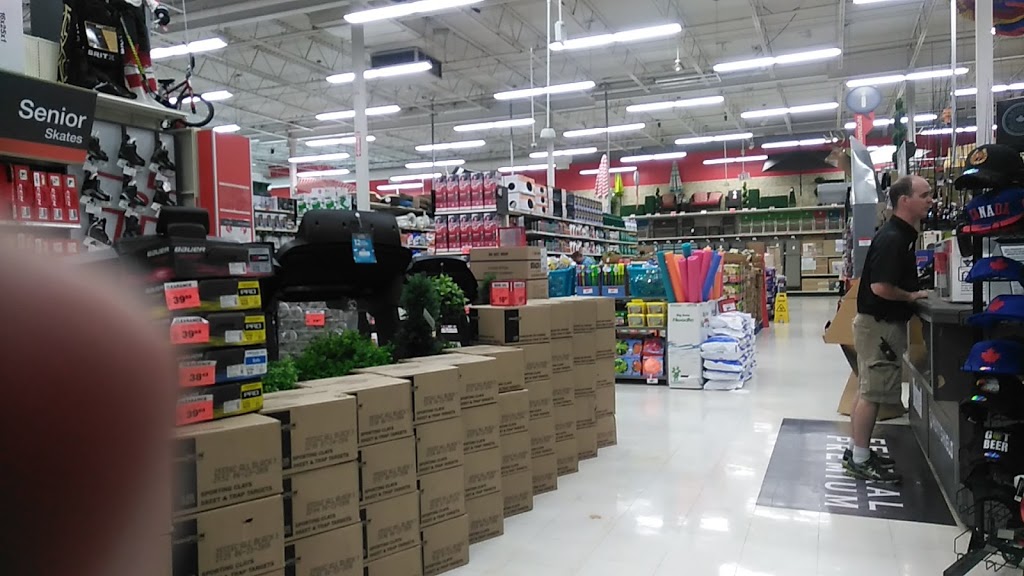 Canadian Tire | 3770 Montrose Rd, Niagara Falls, ON L2H 3C8, Canada | Phone: (905) 354-3848