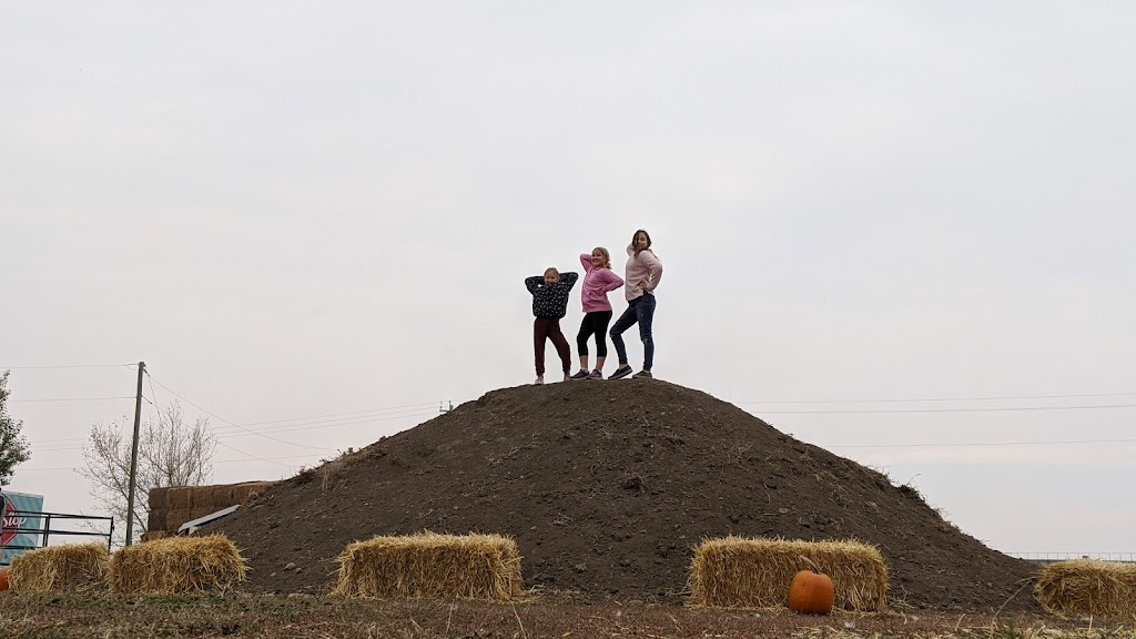 Molnars Pumpkin Festival | Range Rd 173, Barnwell, AB T0K 0B0, Canada | Phone: (403) 315-0728