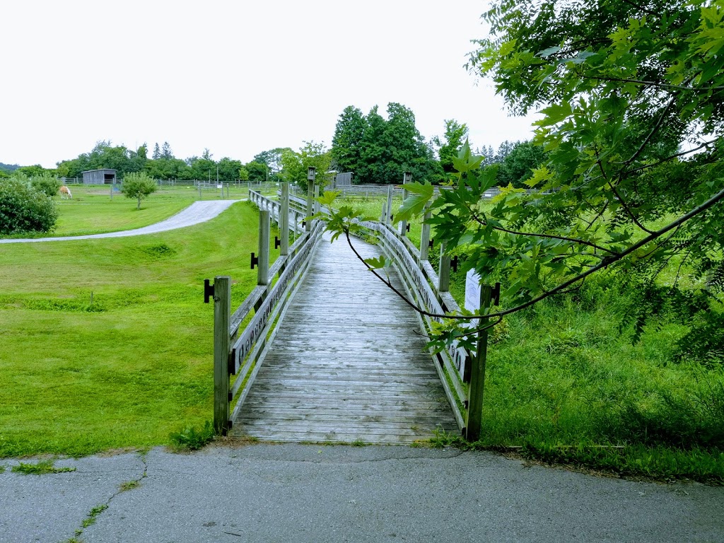 WindReach Farm Admin | 312 Town Line Rd, Ashburn, ON L0B 1A0, Canada | Phone: (905) 655-5827