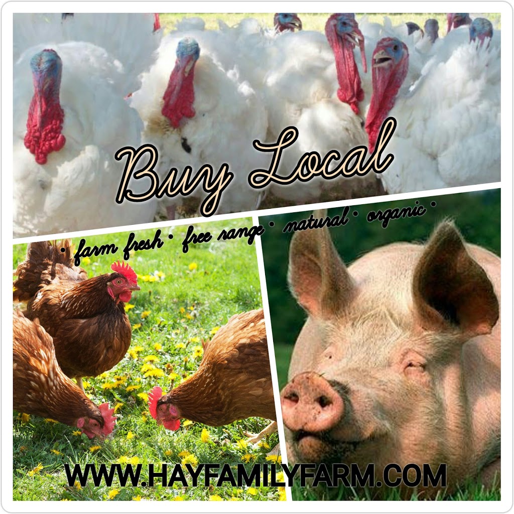 Hay Family Farm & Firewood | 518 Britannia Rd, Huntsville, ON P1H 2J3, Canada | Phone: (705) 783-8616