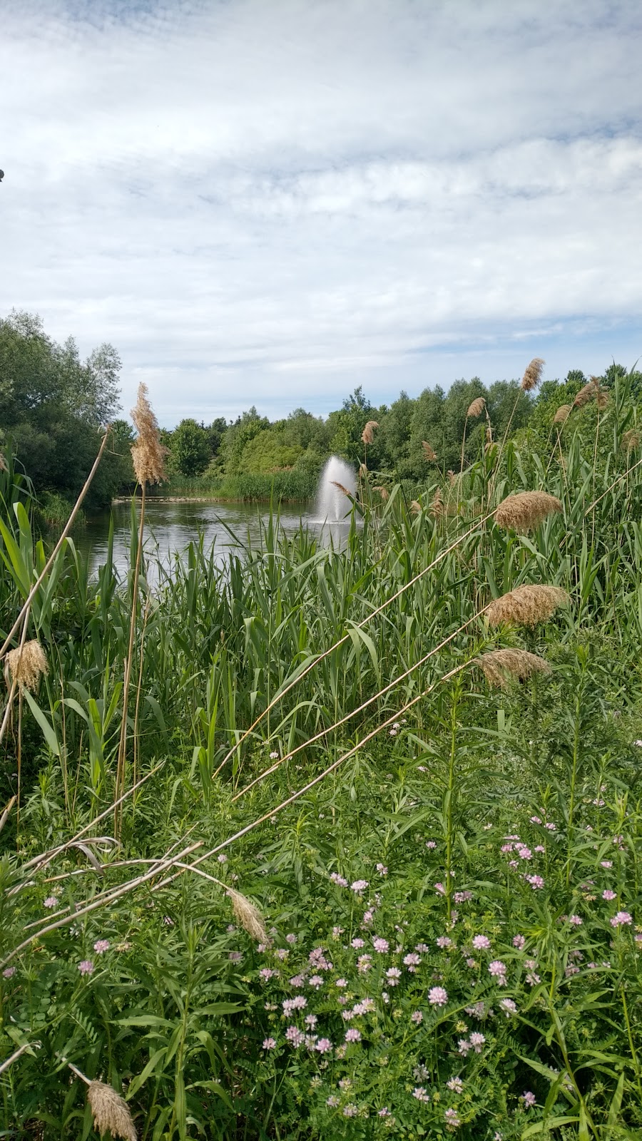 Trailside Pond West | 88 Trailside Walk, Brampton, ON L6S 6J1, Canada