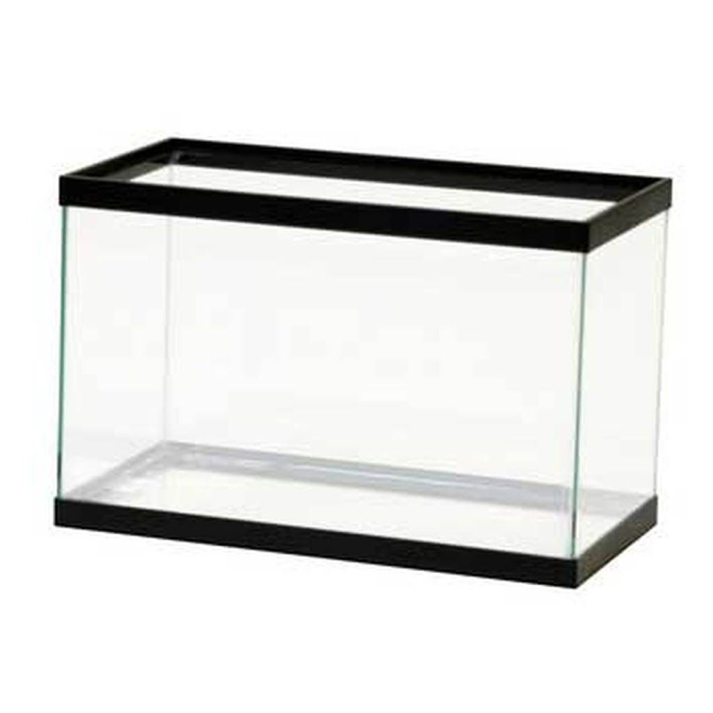 Aquatic Express | 100 Somerset Ave, Toronto, ON M6H 2R4, Canada | Phone: (416) 463-2840