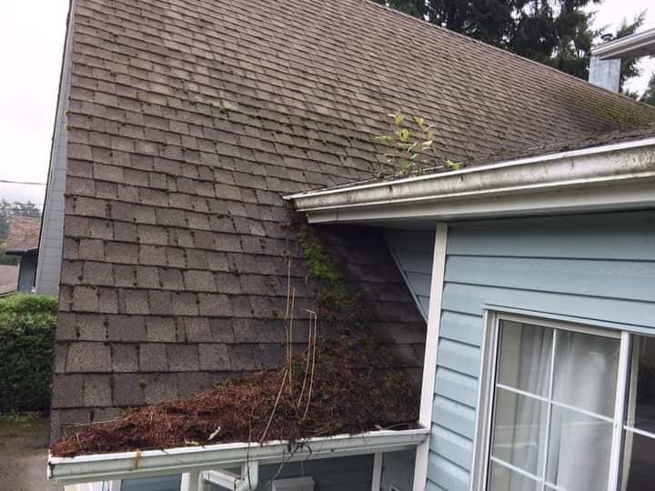 Green Clean | 3048 Cowichan Lake Rd #101, Duncan, BC V9L 4R5, Canada | Phone: (250) 216-5109