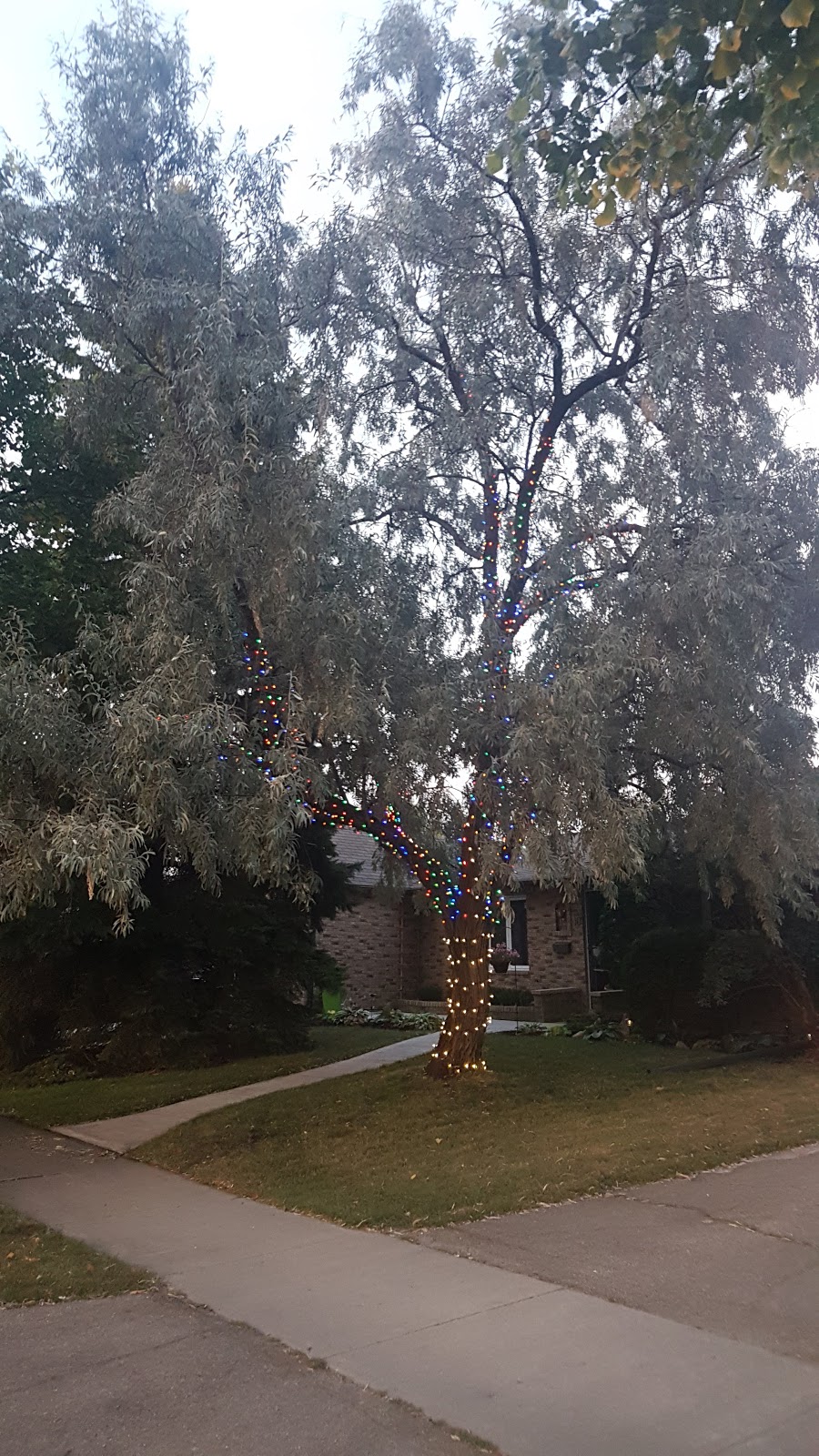 Evenlea Walk Park | Winnipeg, MB R2G 2G6, Canada | Phone: 1204311