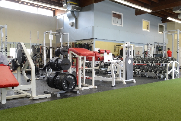 Sports Specific Training Inc. | 3018 New St #3, Burlington, ON L7N 1M5, Canada | Phone: (905) 632-3558