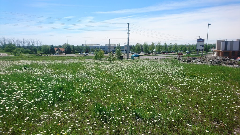 Charnwood Park | 6729 Montrose Rd, Niagara Falls, ON L2H, Canada | Phone: (905) 356-7521
