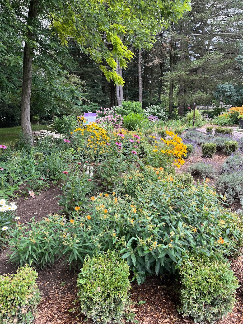 Sparta Lavender Farm | 47589 Sparta Line, Aylmer, ON N5H 2R4, Canada | Phone: (226) 236-5530