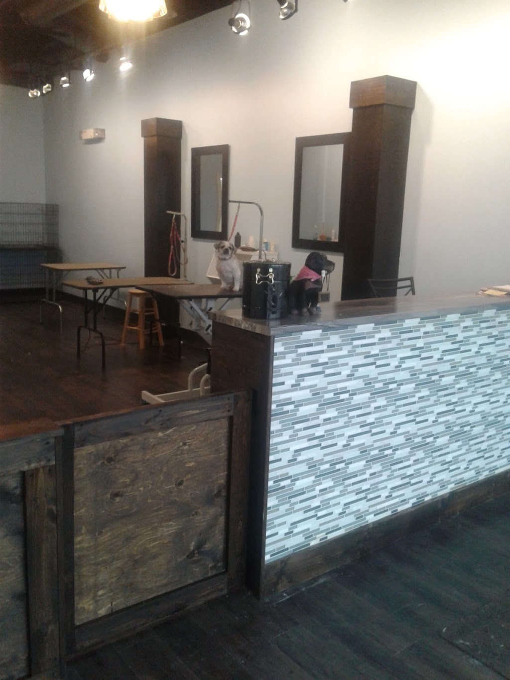 Glamour paws grooming academy | 1633 Mountain Rd, Moncton, NB E1G 1A5, Canada | Phone: (506) 384-3647