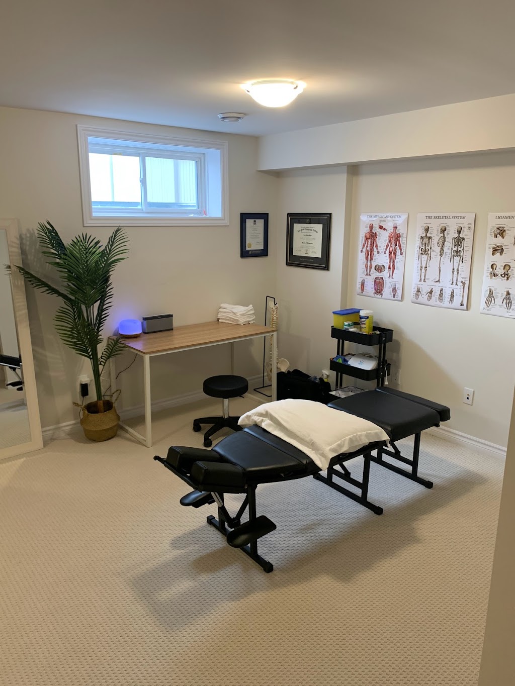 Dr. Ryley Hayter, Stittsville Chiropractor | 216 Tim Sheehan Pl, Ottawa, ON K2S 1B6, Canada | Phone: (343) 297-4585