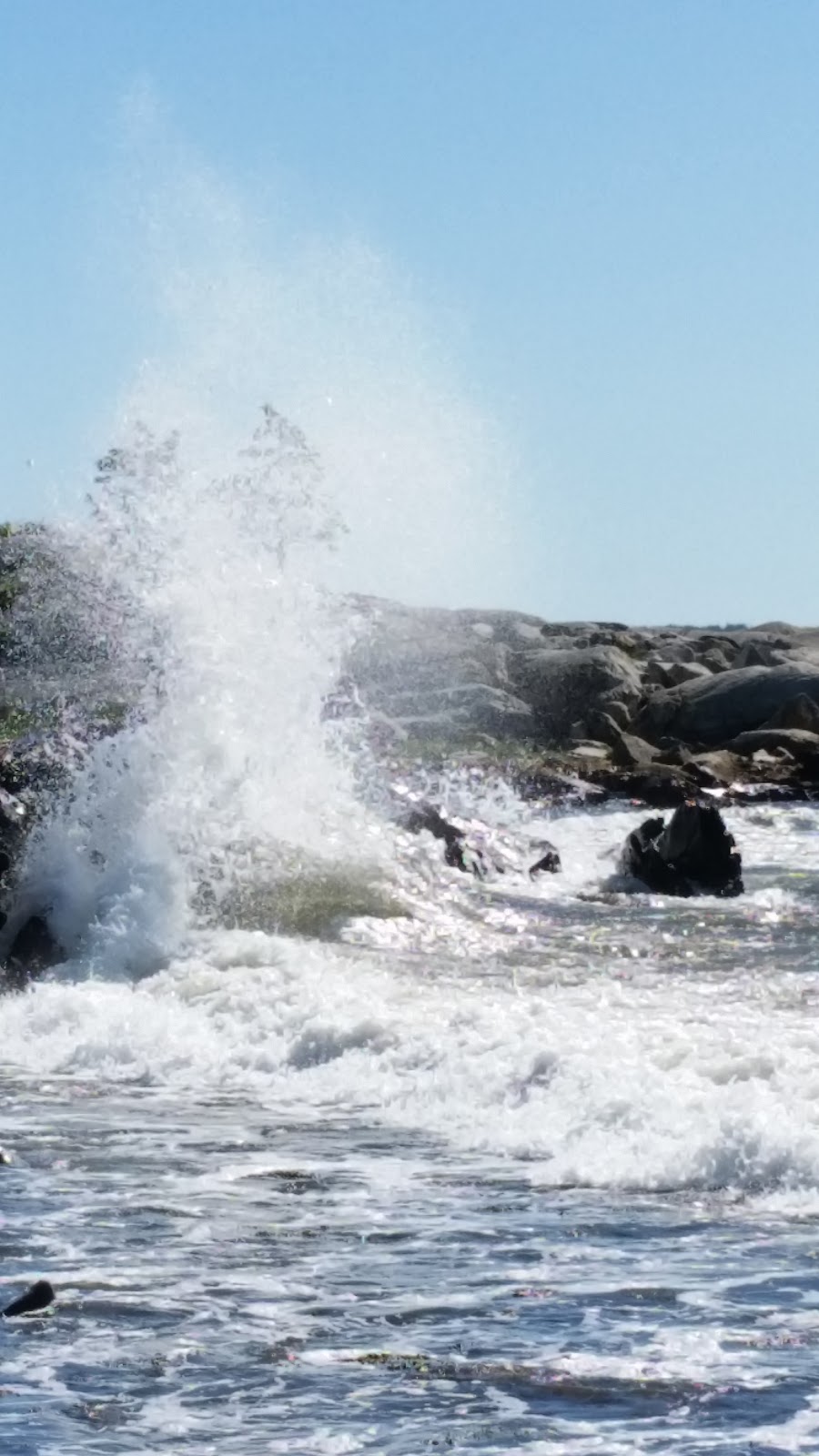 Mighty Atlantic Guest House | 968 Brooklyn Shore Rd, Brooklyn, NS B0J 1H0, Canada | Phone: (902) 350-2215