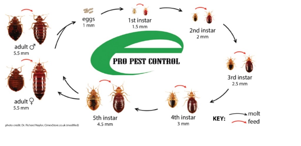 Epro Pest Control Inc | 74 Harpreet Cir, Etobicoke, ON M9W 0E2, Canada | Phone: (416) 834-3789