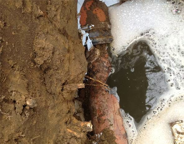 Anta Catch Basin | 364 Munster Ave, Etobicoke, ON M8Z 3C7, Canada | Phone: (416) 231-4696