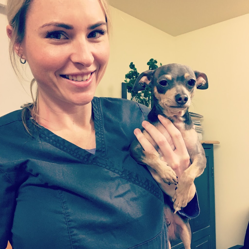Dr. Aerin Greidanus, Animal Chiropractor | 6 Booth St, Minden, ON K0M 2K0, Canada | Phone: (705) 955-1301