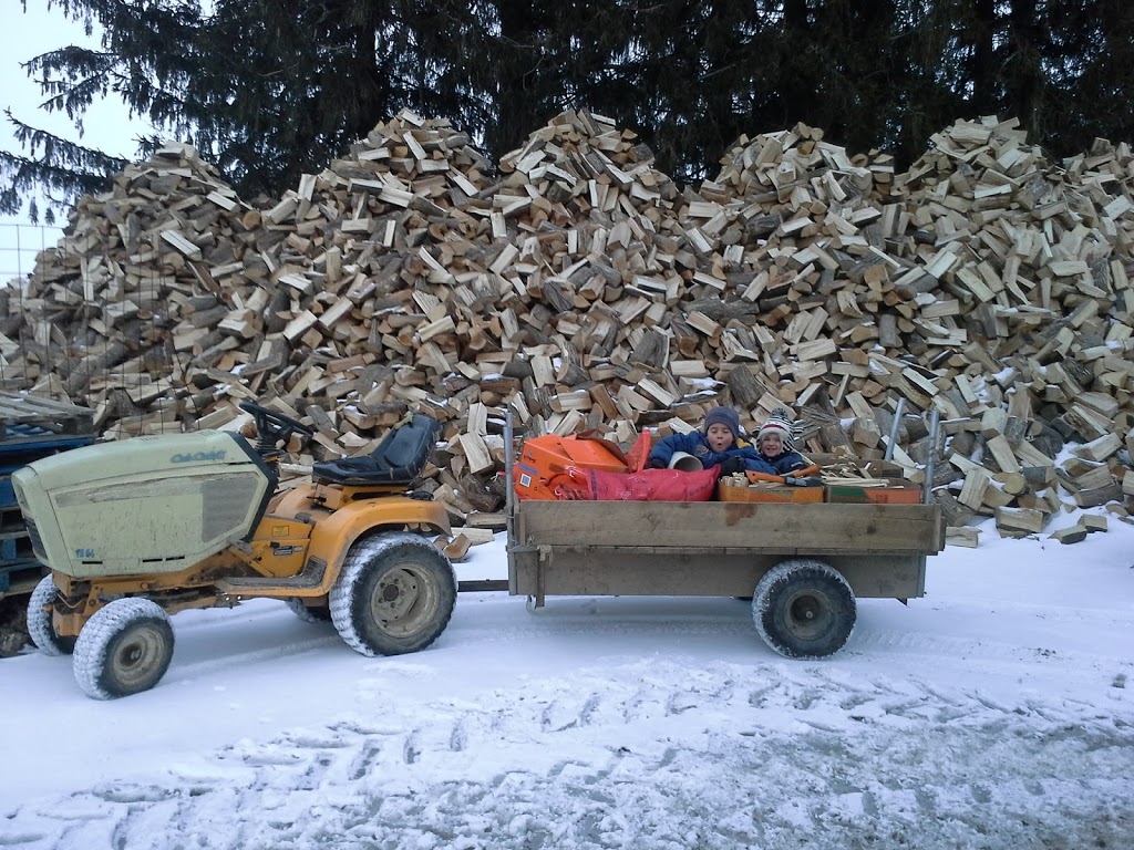 Stormin Normans Firewood | 2892 Hackbart Rd, St. Clements, ON N0B 2M0, Canada | Phone: (519) 504-5626