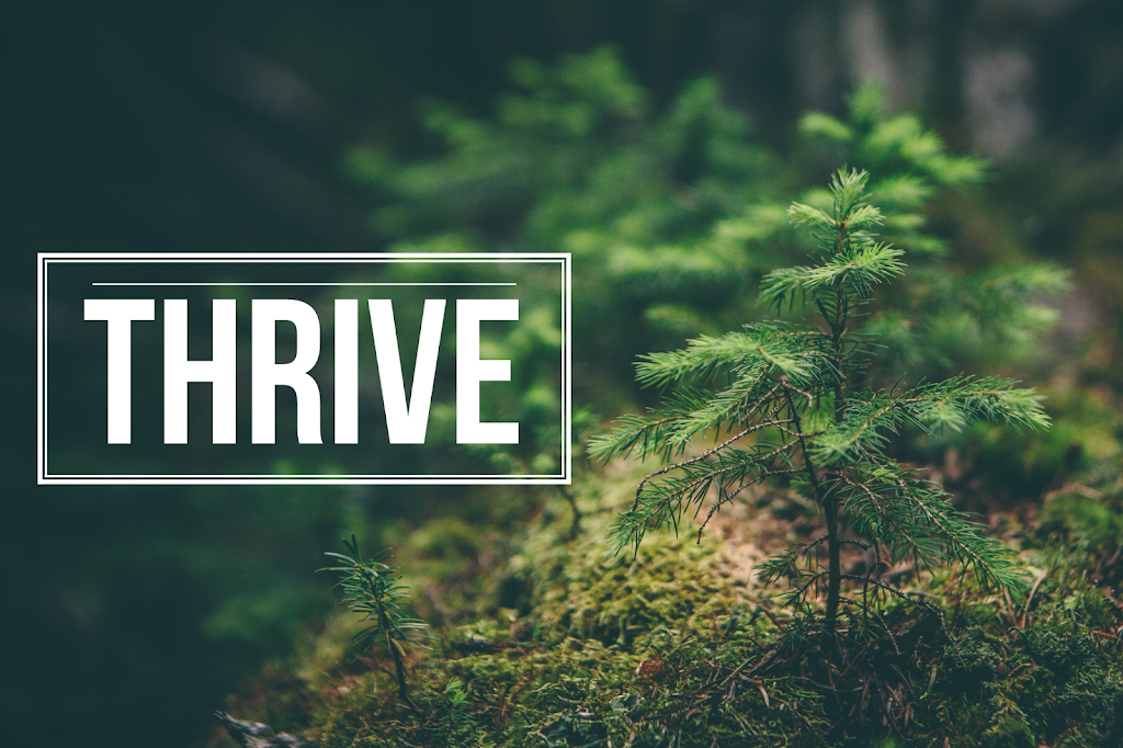 Thrive Church | 5432 Dalhart Rd. NW Calgary, AB T3A 1V6, Dalhausie Community Centre, Calgary, AB T3A 1V6, Canada | Phone: (403) 247-8148