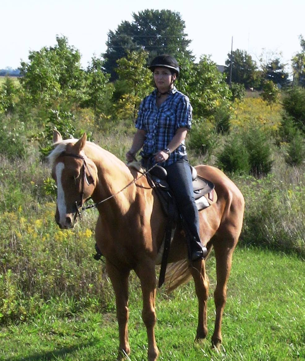 Symphony Stables | 778 County Rd 37, Wheatley, ON N0P 2P0, Canada | Phone: (519) 825-9708