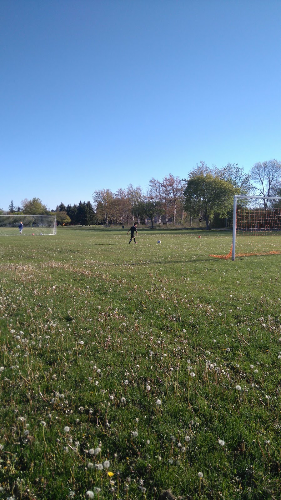 Bertie Centennial Park a.k.a. Ferndale Park | 865 Ferndale Ave, Fort Erie, ON L2A 5H2, Canada