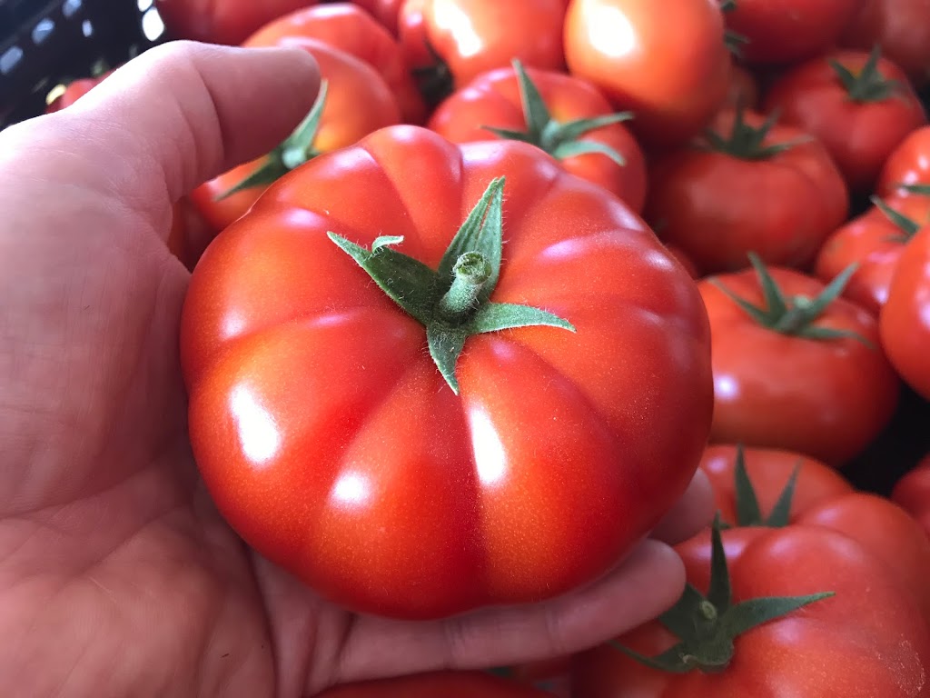 Codiac Organics Ltd. | 1176 Ryan St., Moncton, NB E1G 2V6, Canada | Phone: (506) 870-0772