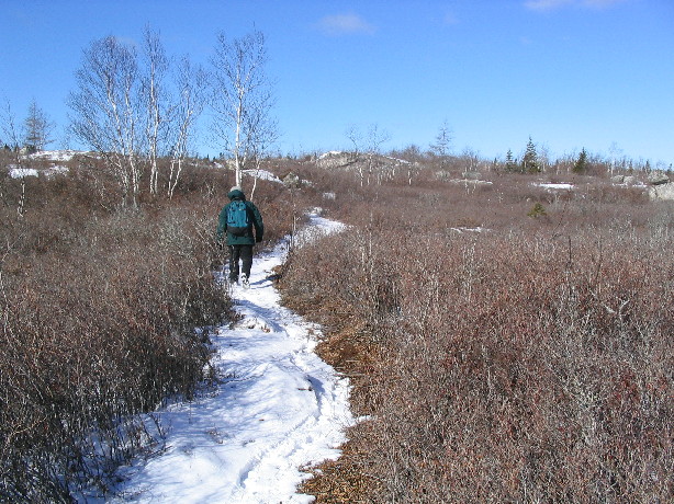 The Bluff Wilderness Hiking Trail | 2890 St Margarets Bay Rd, Timberlea, NS B3T 1H4, Canada | Phone: (902) 876-7377