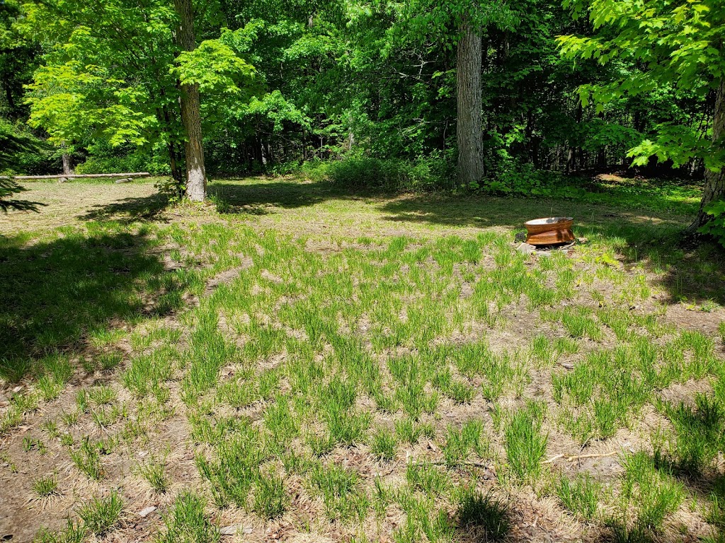 Muskoka Glens Campsite | 77 Muskoka Glens Rd, Huntsville, ON P1H 2N5, Canada | Phone: (289) 231-7239