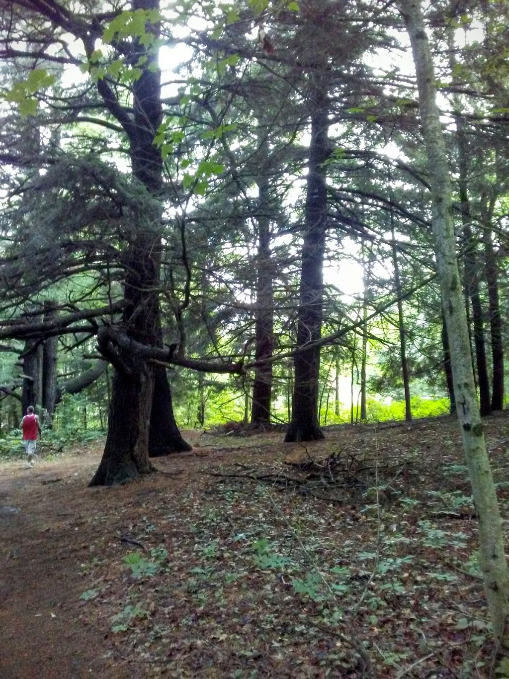 Lakeport State Park | 7605 Lakeshore Rd, Lakeport, MI 48059, USA | Phone: (810) 327-6224