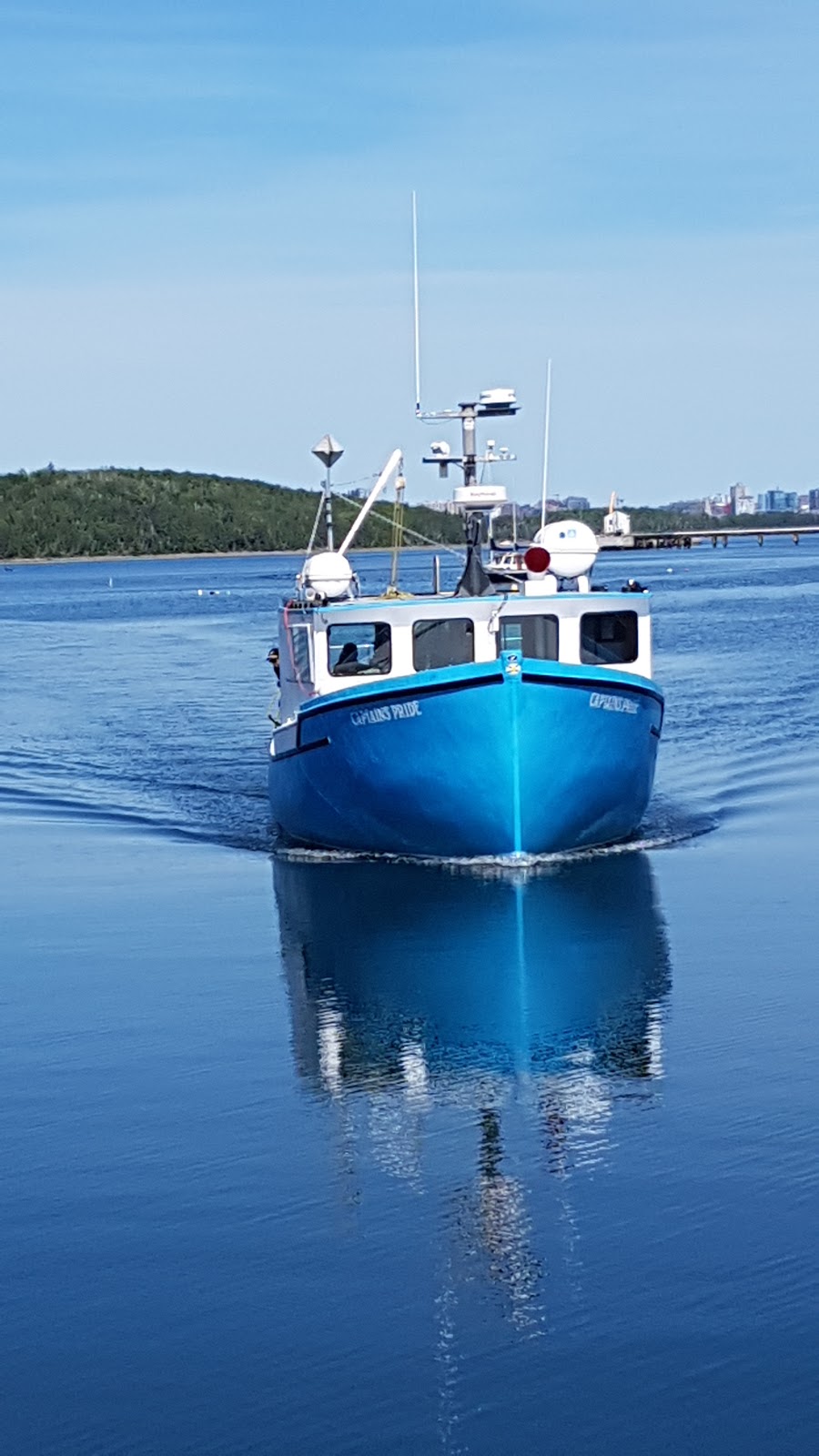 A&M Sea Charters | 87 Government Wharf Rd, Eastern Passage, NS B3G, Canada | Phone: (902) 465-6617