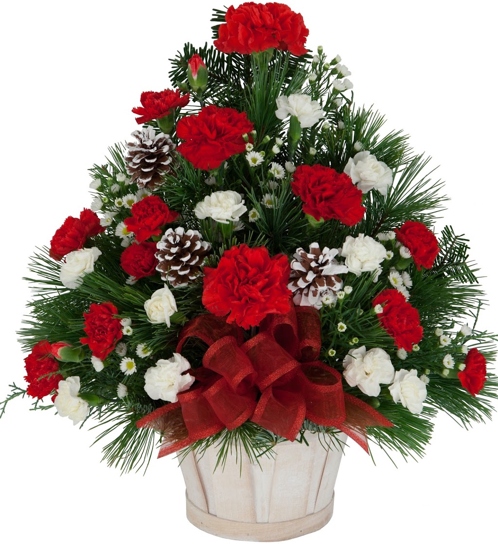 Canada Flowers | ~ Canadas National Florist, 45 Brisbane Rd #1, North York, ON M3J 2K1, Canada | Phone: (888) 705-9999