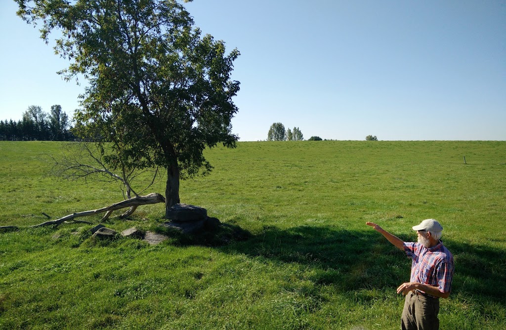 Dobsons Grass Fed Beef Farm | 1907 Snake River Line, Cobden, ON K0J 1K0, Canada | Phone: (613) 818-8232