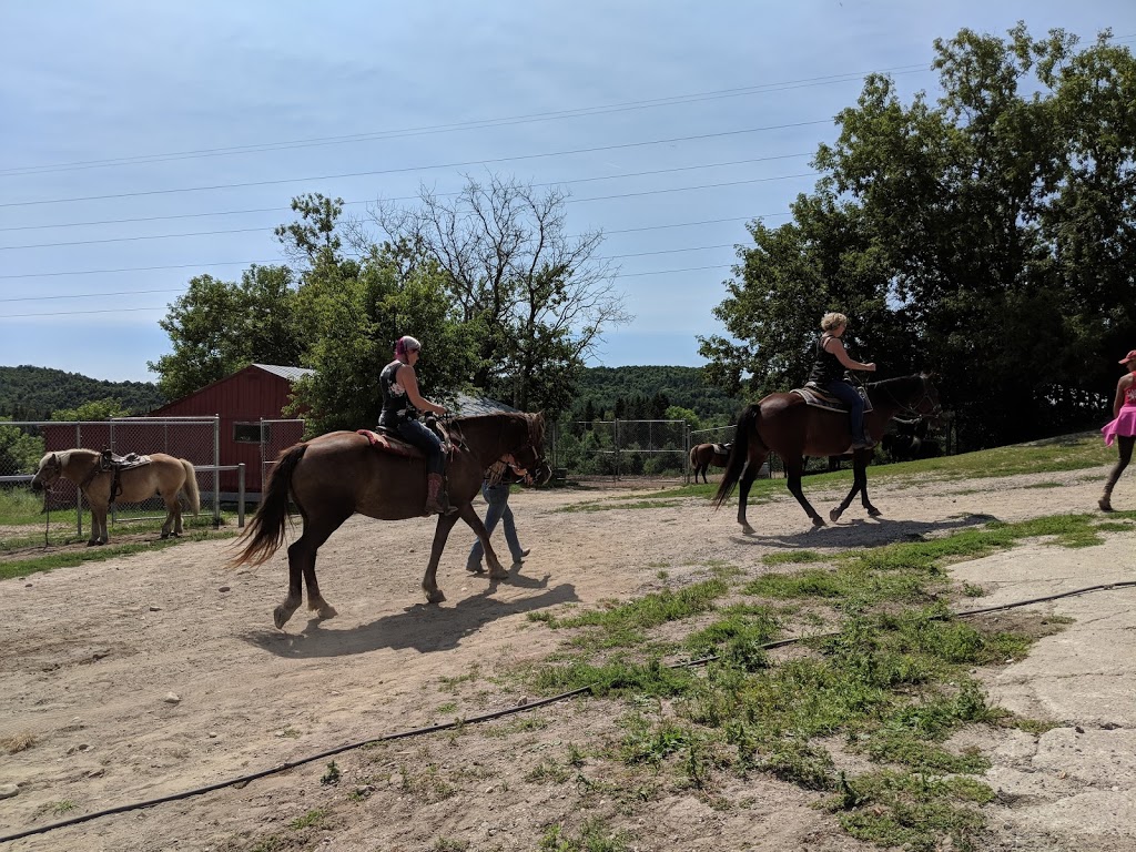 Captiva Farms Horseback Riding | 189 Chemin de la Montagne, Wakefield, QC J0X 3G0, Canada | Phone: (819) 459-2769
