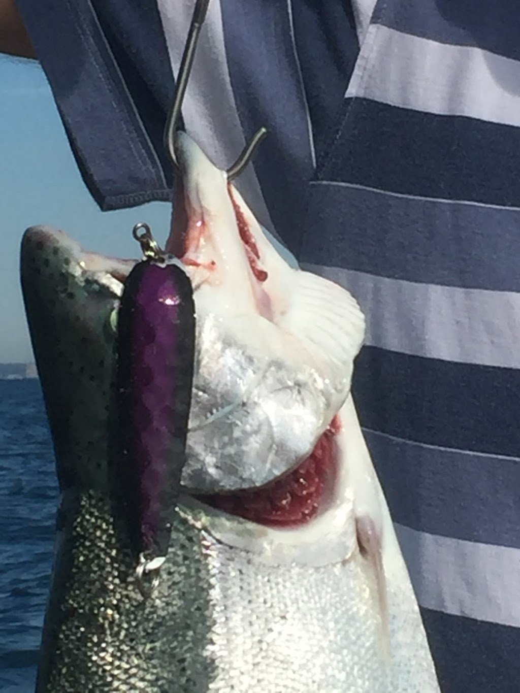 Hooked Up Fishing Charters | 301 Watson St W, Whitby, ON L1N 1A2, Canada | Phone: (905) 440-6908