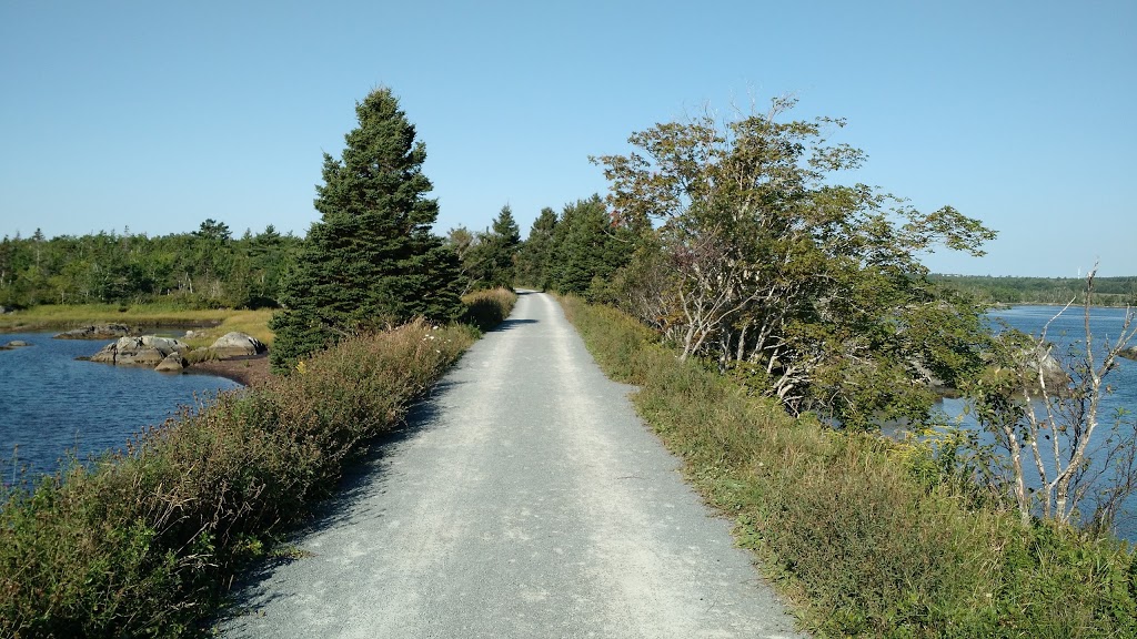 Salt Marsh Trail | Trans Canada Trial, Cole Harbour, NS B2V 2T2, Canada