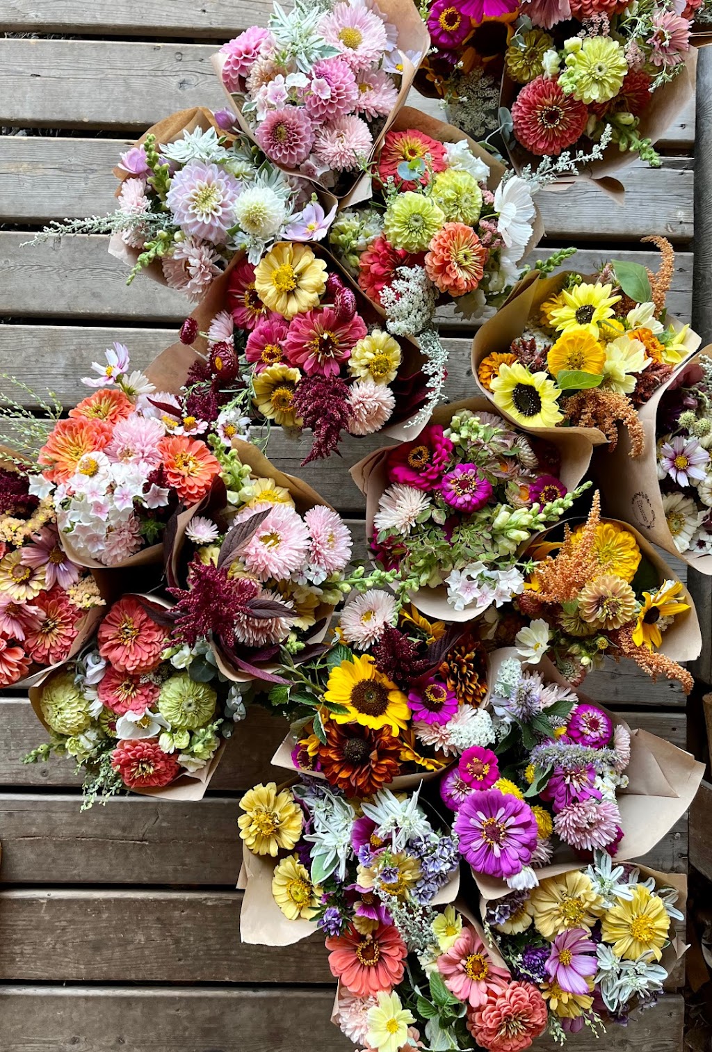 Grow & Gather Flower Farm | 5886 Kapoor Rd, Duncan, BC V9L 6H6, Canada | Phone: (778) 836-0624