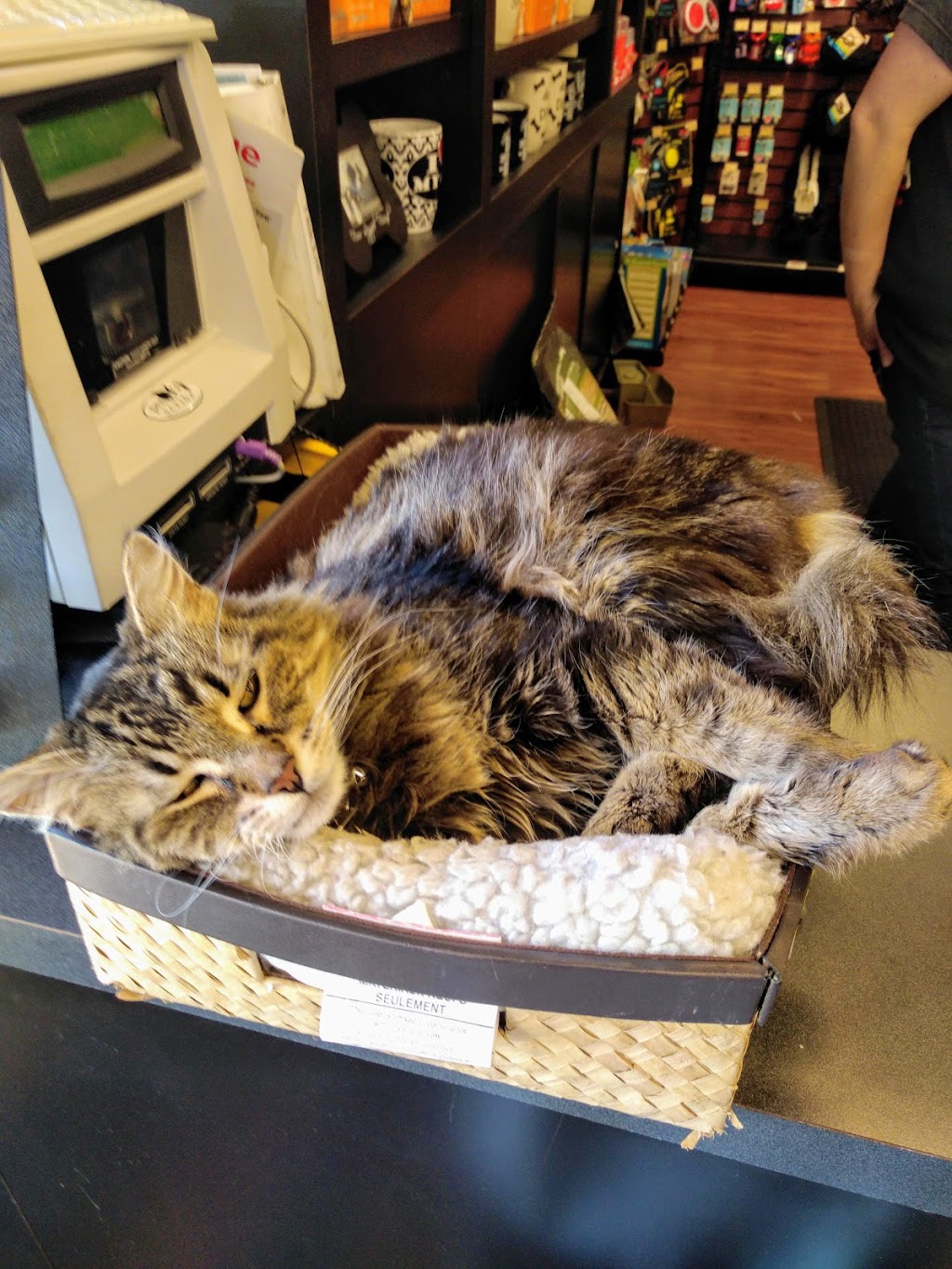 Pet Valu | 2855 Pembina Hwy, Winnipeg, MB R3T 2H5, Canada | Phone: (204) 261-8383