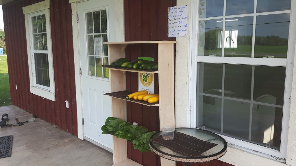 Les Trouvailles Gourmandes du Canton | 917 11e Rang, Roxton Falls, QC J0H 1E0, Canada | Phone: (450) 531-2308