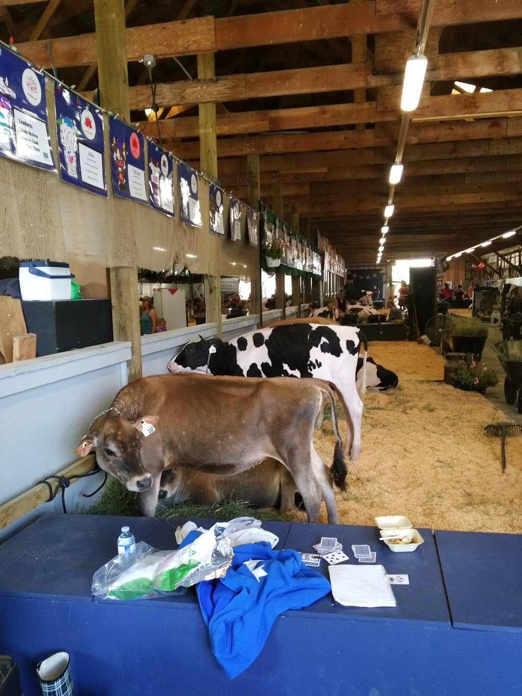 Albion Fairgrounds | 23448 105 Ave, Maple Ridge, BC V2W 1G3, Canada | Phone: (604) 467-7346