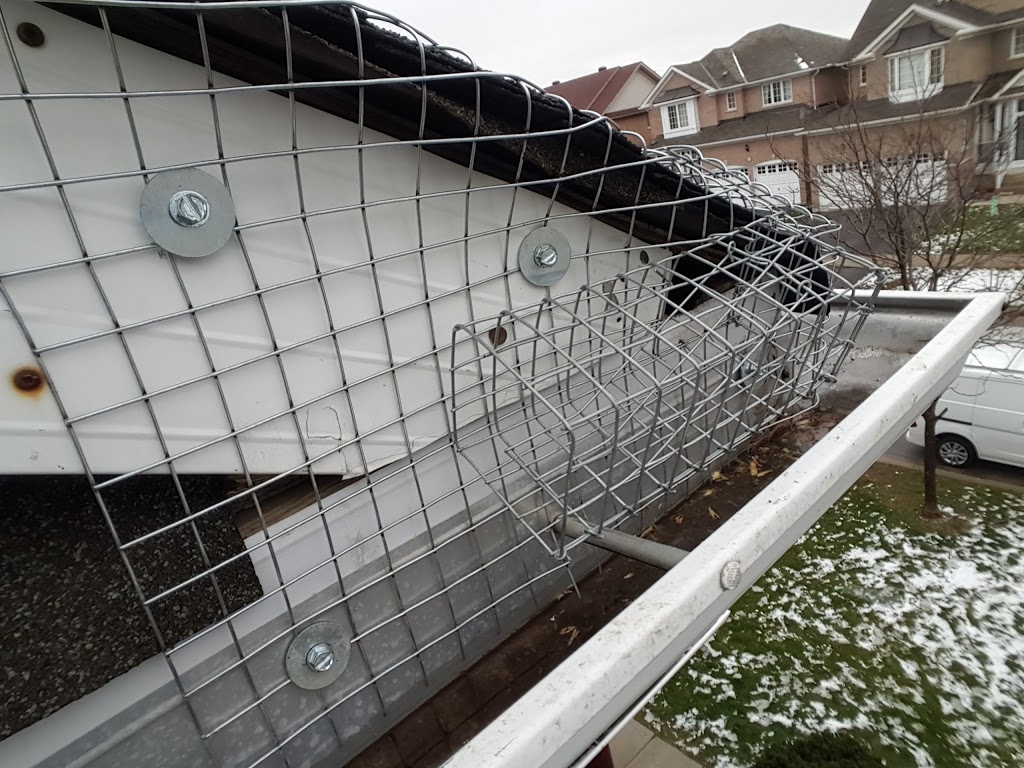 SIA Wildlife Control inc. | 26 Riveredge Dr, Keswick, ON L4P 2N9, Canada | Phone: (647) 715-6262