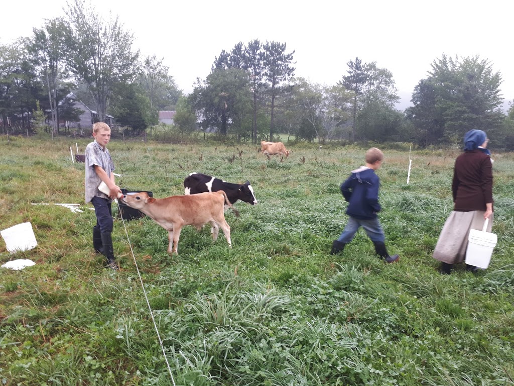 Bountywoods Farm | 4876 Brooklyn St, Somerset, NS B0P 1E0, Canada | Phone: (902) 538-4318