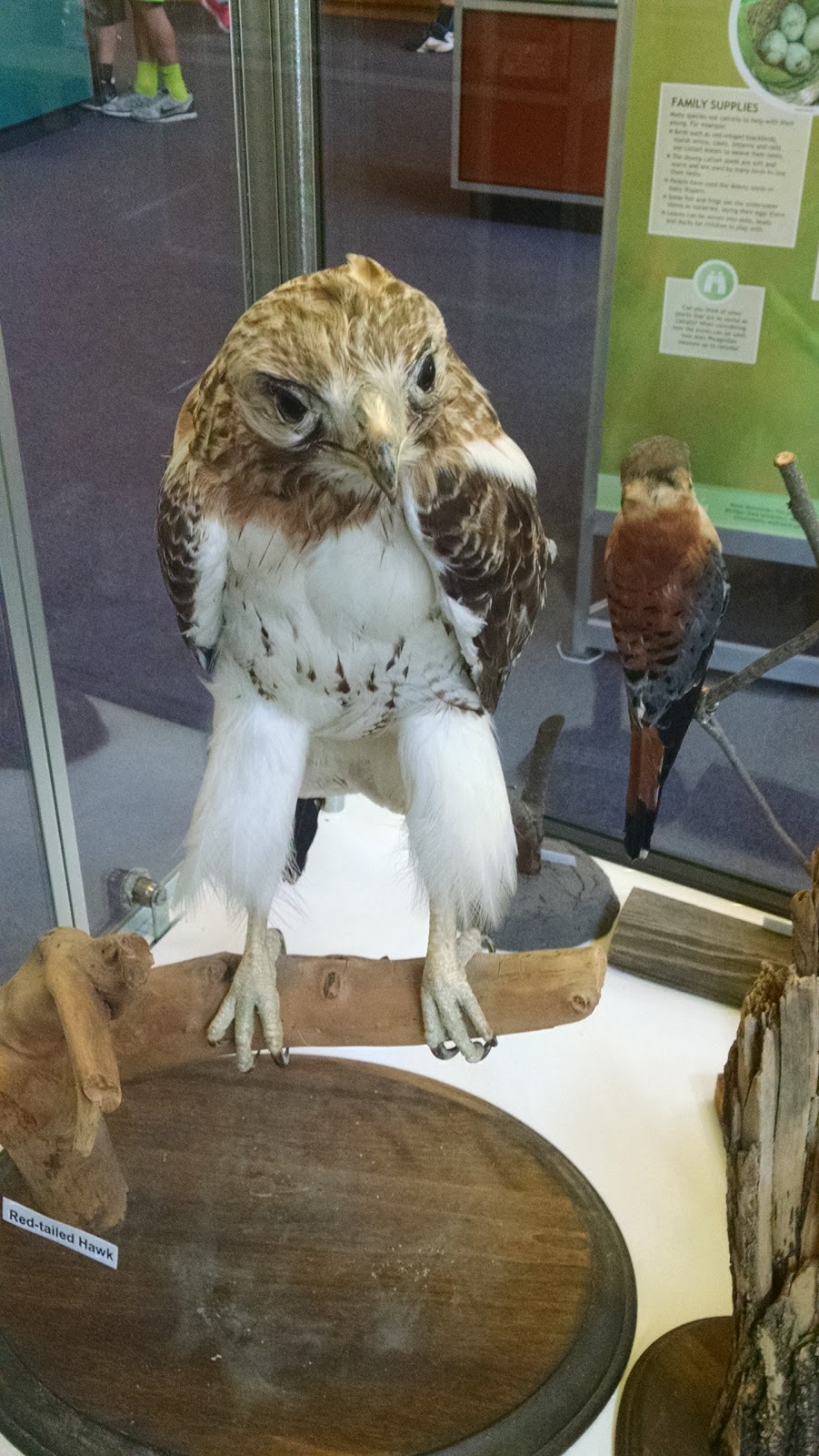 Nature Center | 31300 Metro Pkwy, Harrison Charter Township, MI 48045, USA | Phone: (586) 463-4332