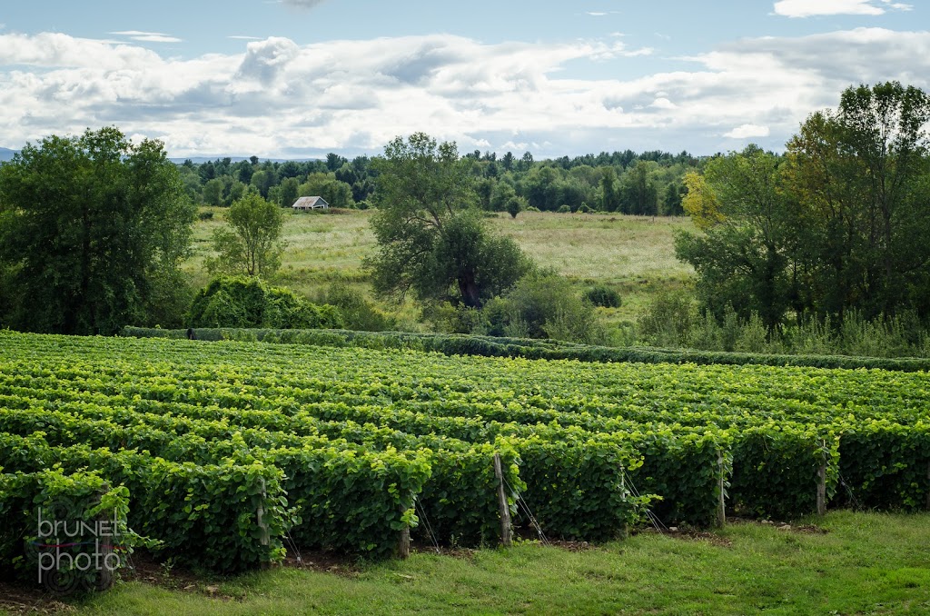 Domaine Des Salamandres | 196 Chemin de Covey Hill, Hemmingford, QC J0L 1H0, Canada | Phone: (450) 247-9000