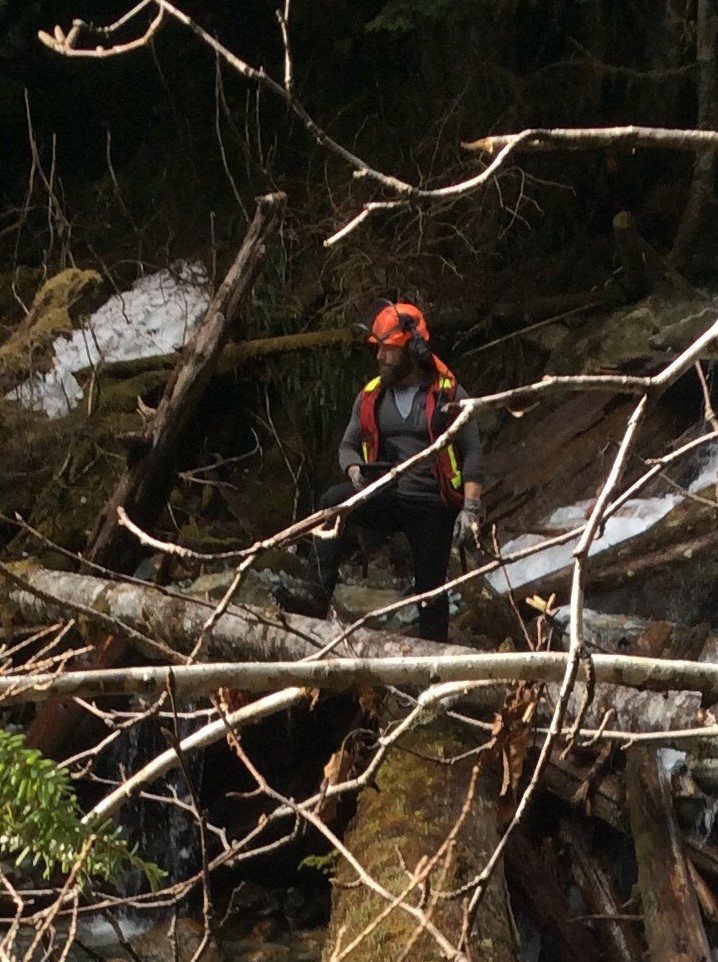 PseudoTsuga Timber | 41160 Rockridge Pl, Squamish, BC V8B 0S4, Canada | Phone: (604) 833-0746