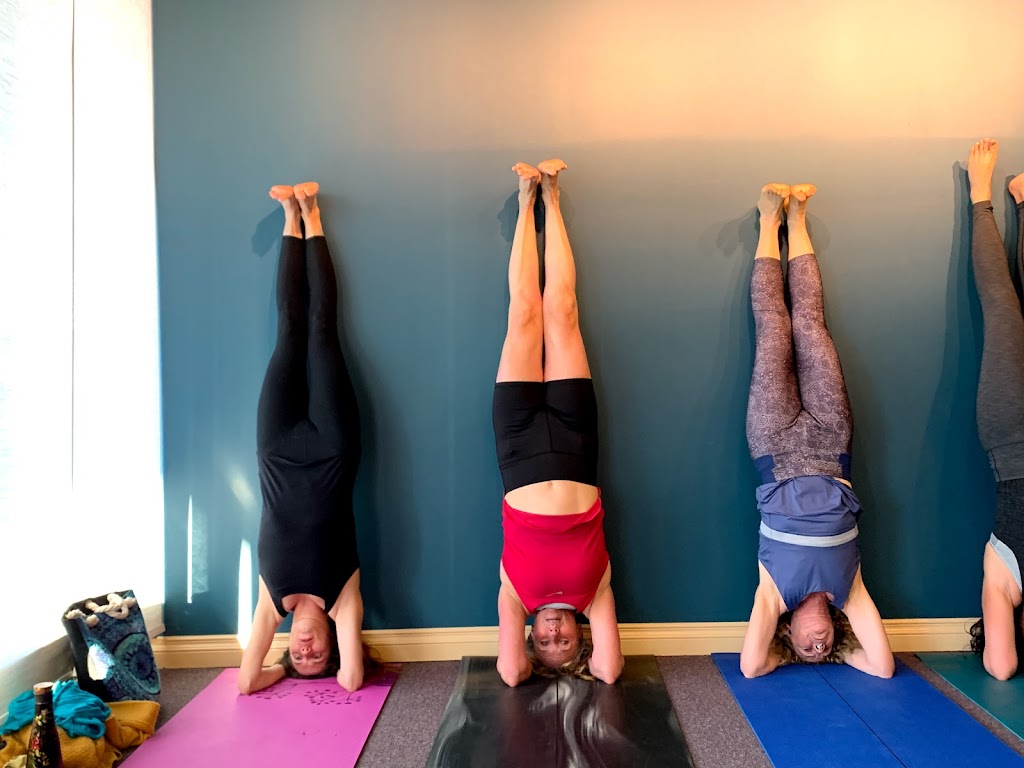 Alberta Yoga College | 2439 54 Ave SW, Calgary, AB T3E 1M4, Canada | Phone: (587) 228-7833