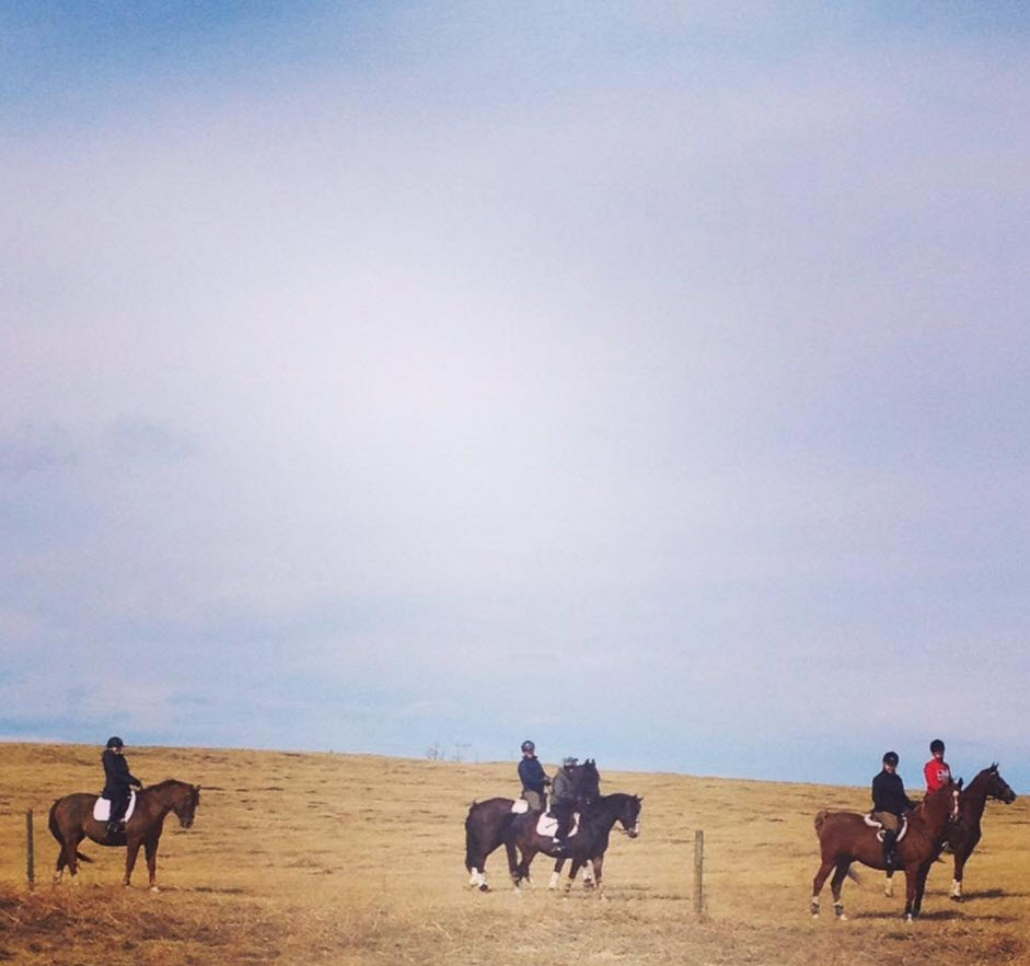 GEM Equestrian | 33038, Township Rd 272, AB T4C 2Z6, Canada | Phone: (403) 200-6287