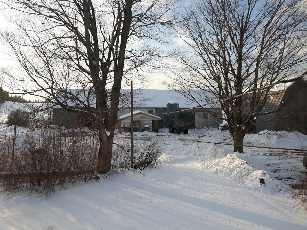 Ebbetts Meadow Brook Farm Market | 8647 NS-311, Tatamagouche, NS B0K 1V0, Canada | Phone: (902) 657-2122