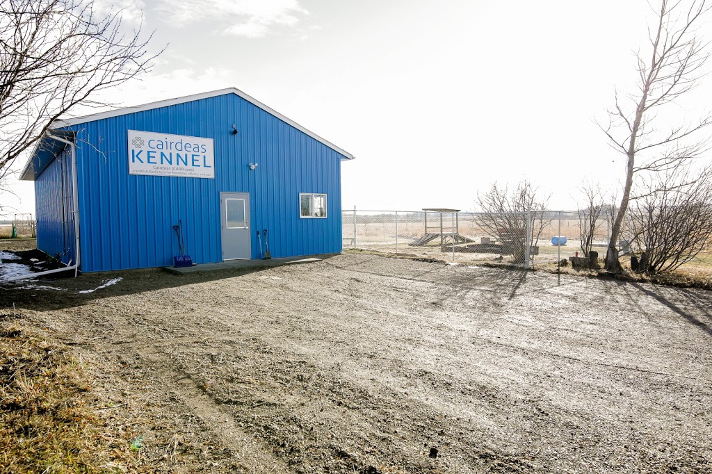 Cairdeas Kennel | 1245 Township Rd 352, Red Deer County, AB T4G 0H7, Canada | Phone: (403) 550-7512