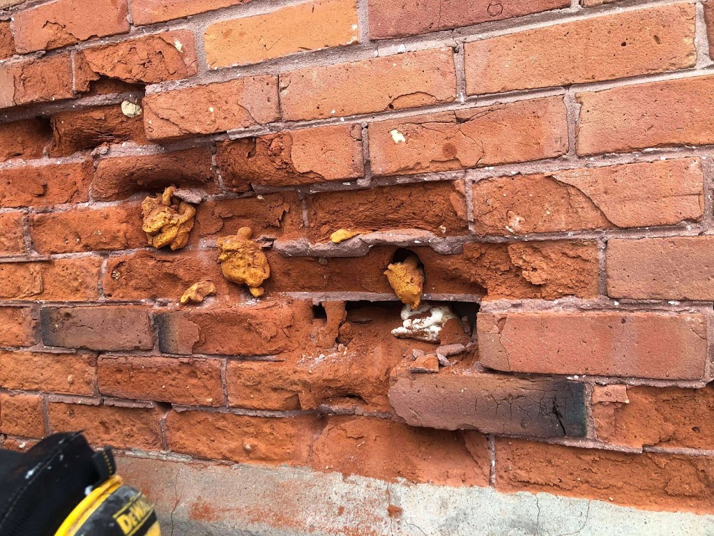 King Stonecraft and Masonry | 316 Balsam St, Collingwood, ON L9Y 0B3, Canada | Phone: (705) 606-9449
