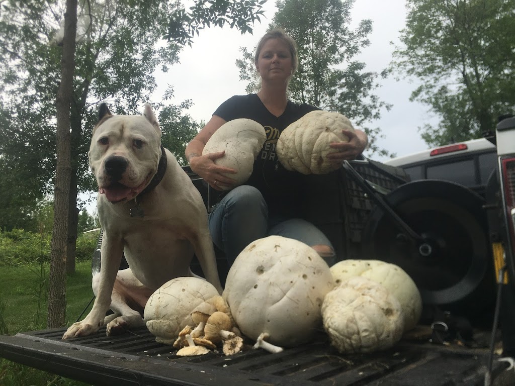 Wilson Creek Farms | 1331 3 Line, Lefroy, ON L0L 1W0, Canada | Phone: (226) 218-4638